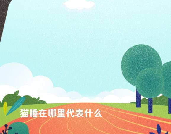 猫睡在哪里代表什么