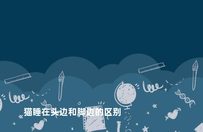 猫睡在头边和脚边的区别