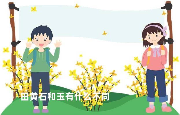 田黄石和玉有什么不同