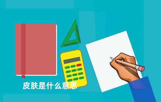 皮肤是什么意思