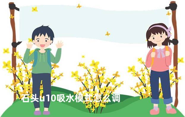石头u10吸水模式怎么调