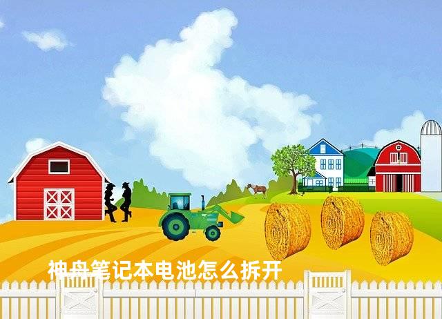 神舟笔记本电池怎么拆开