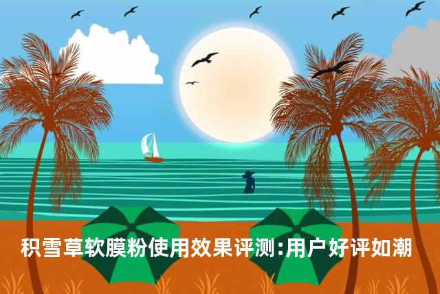 积雪草软膜粉使用效果评测:用户好评如潮