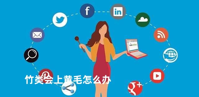 竹类会上黄毛怎么办