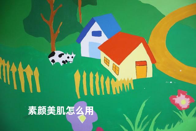 素颜美肌怎么用