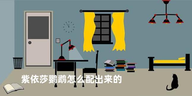 紫依莎鹦鹉怎么配出来的