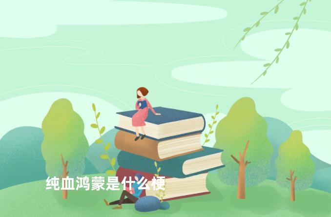 纯血鸿蒙是什么梗