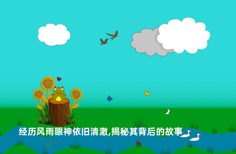 经历风雨眼神依旧清澈,揭秘其背后的故事