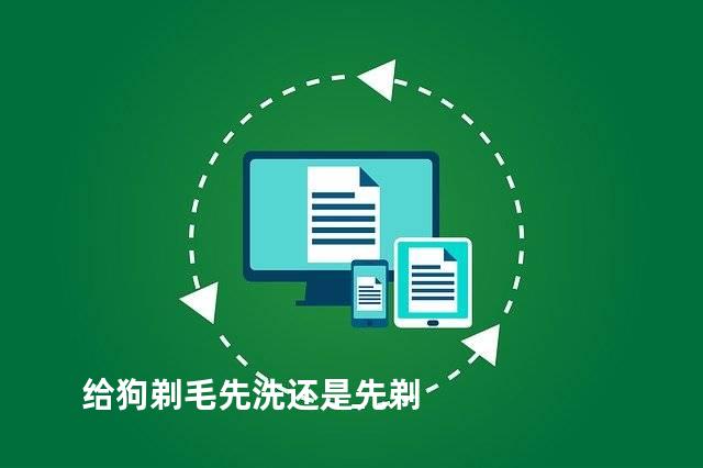 给狗剃毛先洗还是先剃