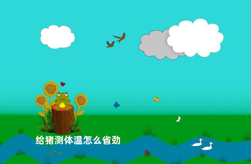 给猪测体温怎么省劲