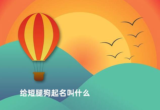 给短腿狗起名叫什么