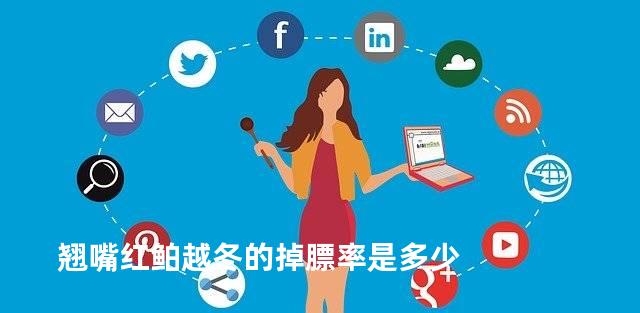翘嘴红鲌越冬的掉膘率是多少