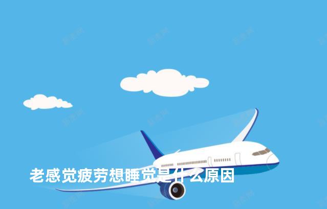 老感觉疲劳想睡觉是什么原因