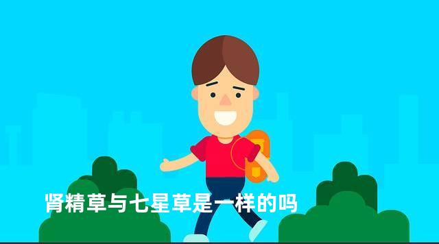 肾精草与七星草是一样的吗