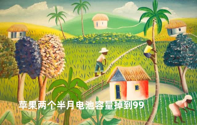 苹果两个半月电池容量掉到99