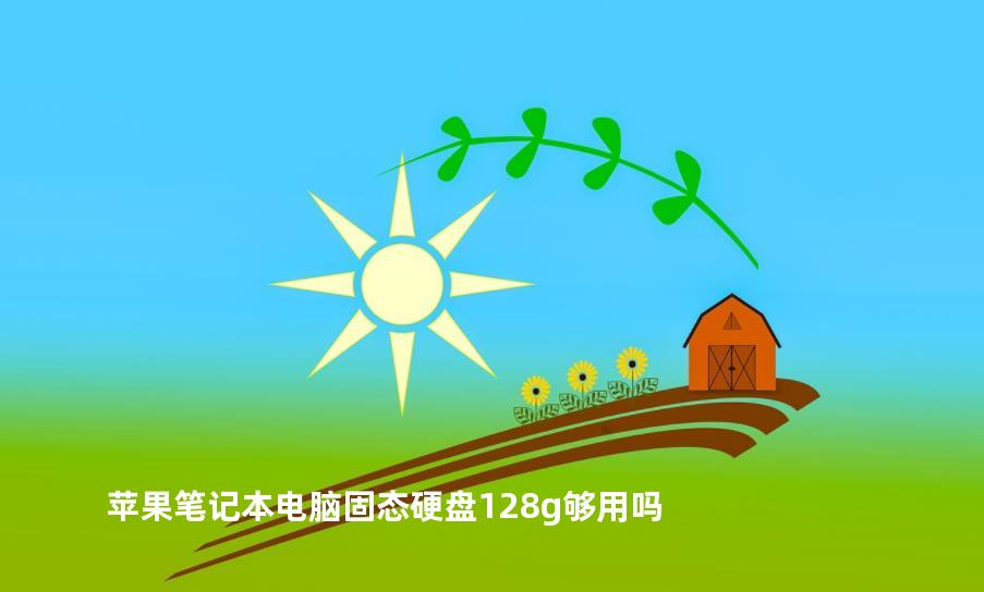 苹果笔记本电脑固态硬盘128g够用吗