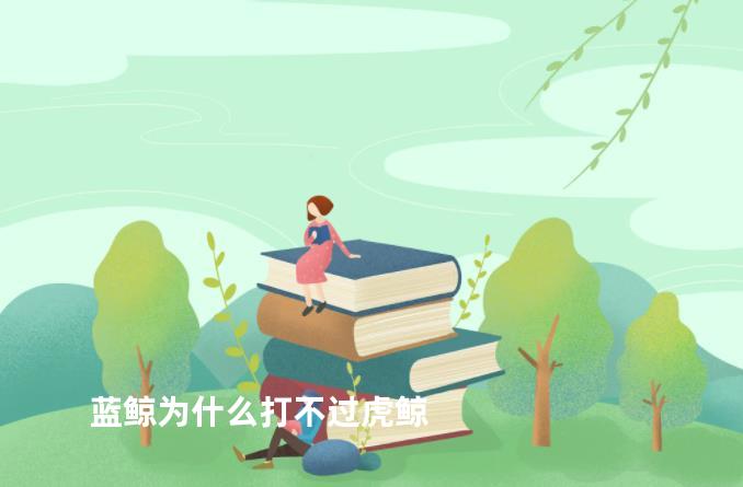 蓝鲸为什么打不过虎鲸