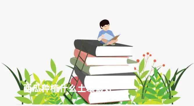 西瓜种植什么土壤最好