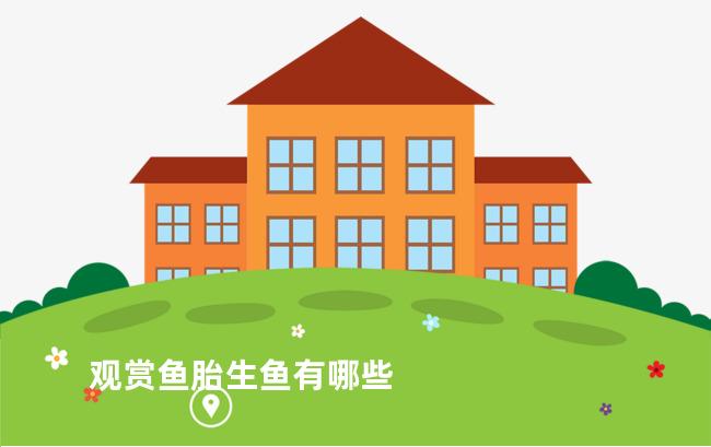 观赏鱼胎生鱼有哪些