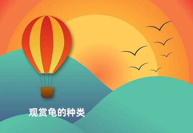 观赏龟的种类