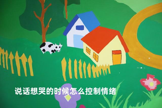 说话想哭的时候怎么控制情绪