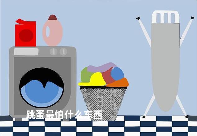跳蚤最怕什么东西