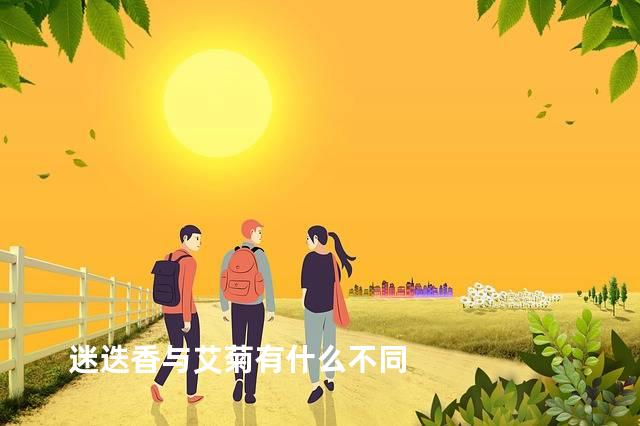 迷迭香与艾菊有什么不同