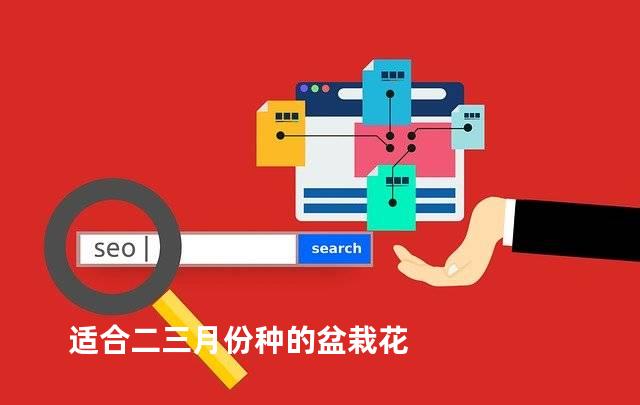 适合二三月份种的盆栽花