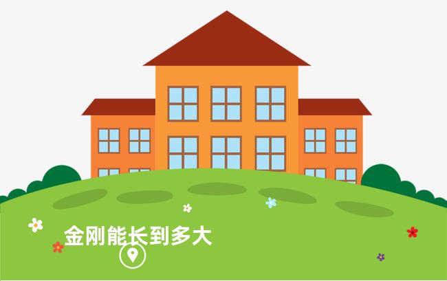 金刚能长到多大