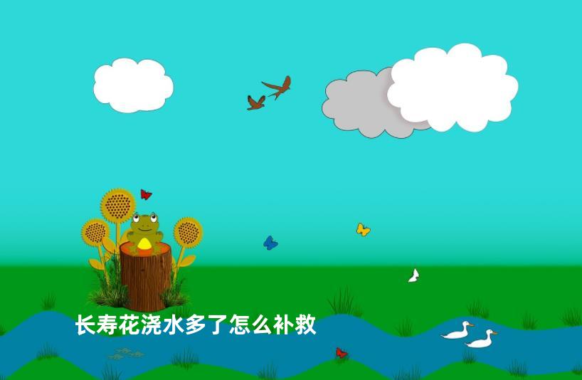 长寿花浇水多了怎么补救