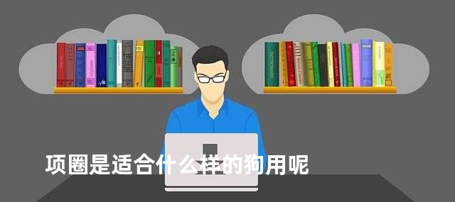 项圈是适合什么样的狗用呢