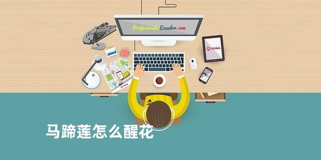马蹄莲怎么醒花