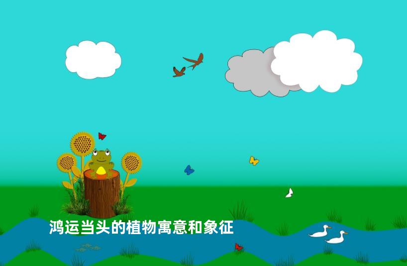鸿运当头的植物寓意和象征