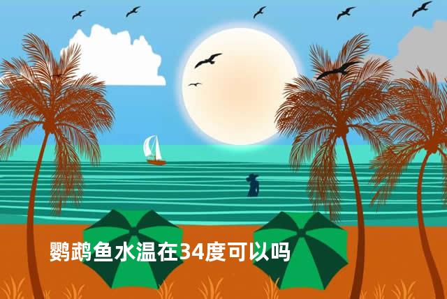 鹦鹉鱼水温在34度可以吗