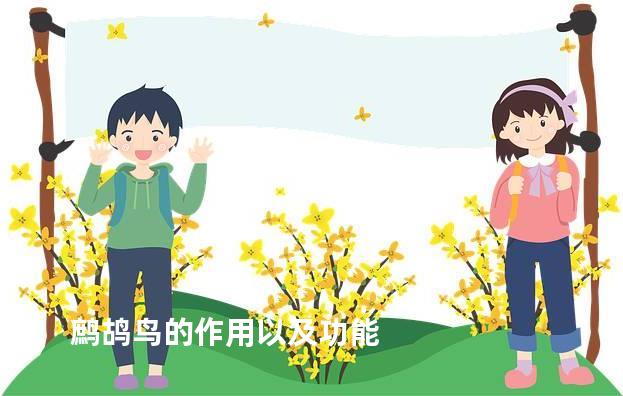 鹧鸪鸟的作用以及功能