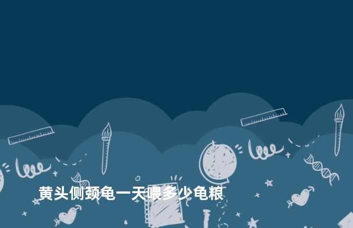 黄头侧颈龟一天喂多少龟粮