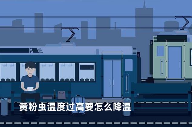 黄粉虫温度过高要怎么降温