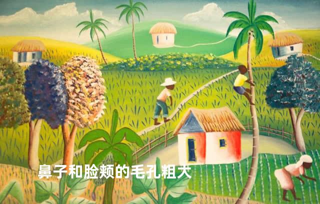 鼻子和脸颊的毛孔粗大