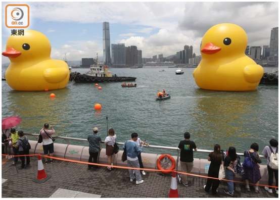 “大黄鸭”相隔10年重游香港 展期预计两周，香港市民争相打卡留念