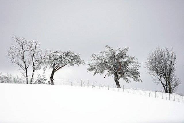多地将迎下半年来最冷一天，寒潮蓝色预警！