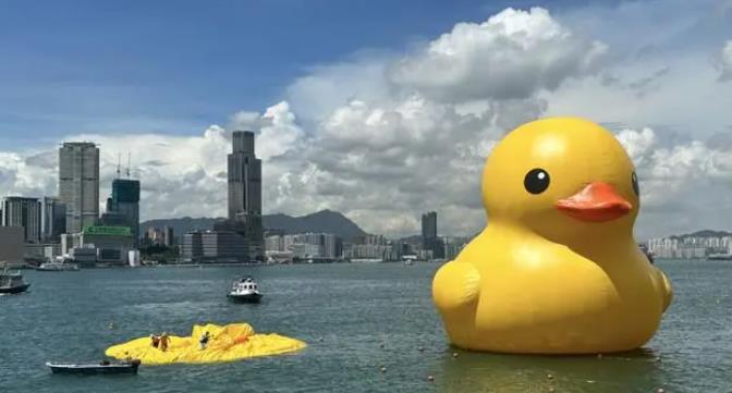 “大黄鸭”相隔10年重游香港 画面曝光一只突然“漏气”